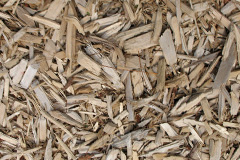 biomass boilers Coldoch