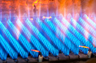 Coldoch gas fired boilers